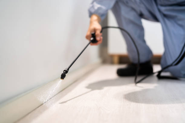 Licensed Pest Control service in Springfield, SD - Show Me Pest Control