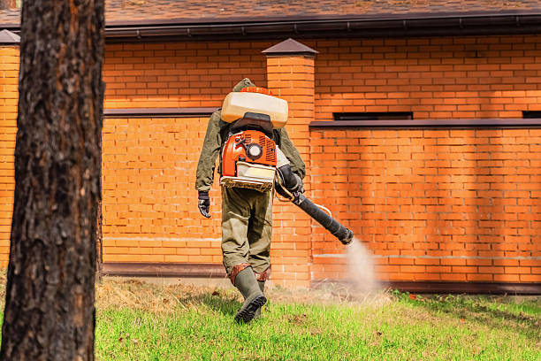 Cockroach Follow-Up and Monitoring in Springfield